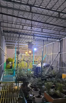 bán nhà đường số 14